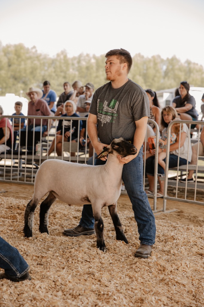 2023 4H & FFA Sheep Show